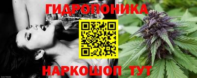 мяу мяу мука Татарск