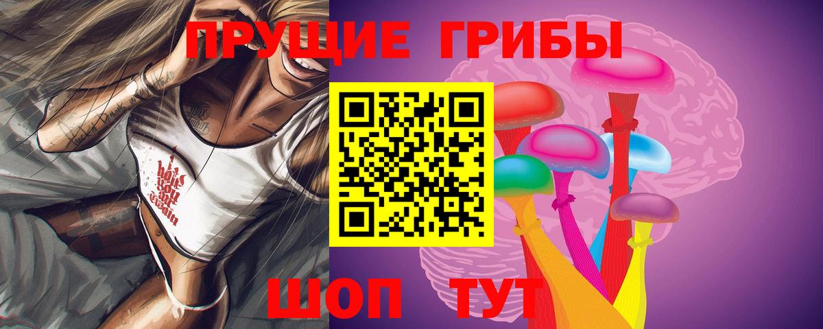 Псилоцибиновые грибы GOLDEN TEACHER Саянск