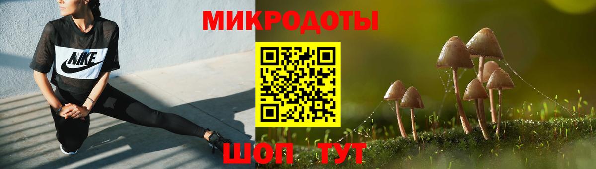Галлюциногенные грибы Psilocybe  Вход с VPN  наркошоп  Саянск 